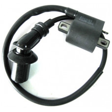 Катушка зажигания в сборе (QJ-110303/QJ125E-2221)