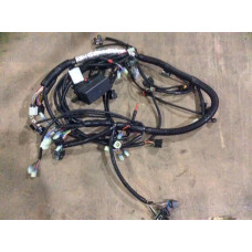Жгут главный универсальный EPS (ATV800GК-3724010-04)